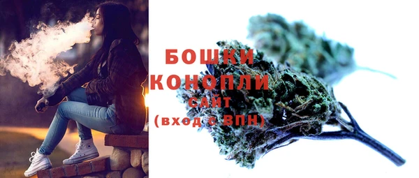 мдпв Дмитров