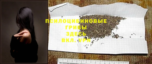мяу мяу мука Мегион
