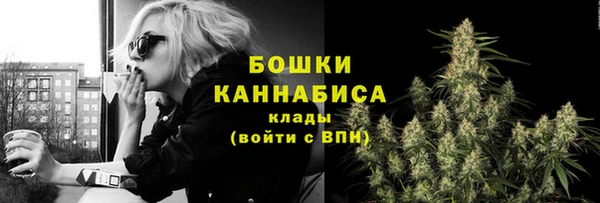 гидропоника Дмитриев