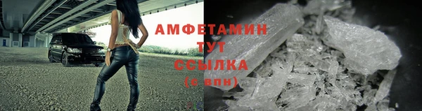 мдпв Дмитров