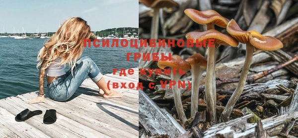 гидропоника Дмитриев