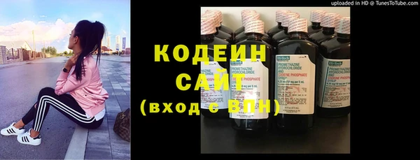 мдпв Дмитров