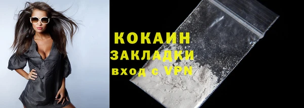 мдпв Дмитров