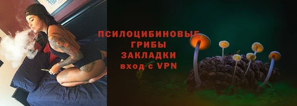 мдпв Дмитровск