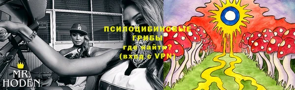 гидропоника Дмитриев
