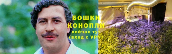 мдпв Дмитровск