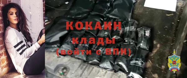 мдпв Дмитров
