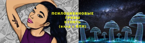мдпв Дмитров